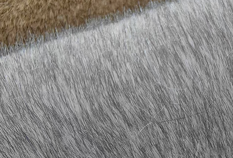 1200mg*185cm Two-color cationic imitation fox fur fabric 1200mg*185cm Two-color cationic imitation fox fur fabric