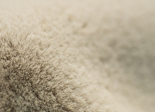 Shaoxing Wanyi Textile Co., Ltd.