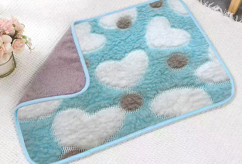 230gsm 160cm Double-sided flannel 3D printed plush fabric