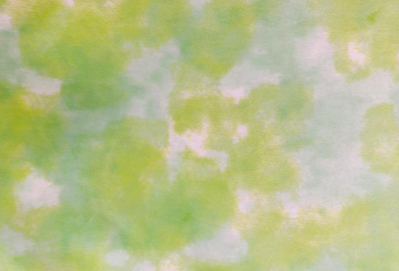 510mg 170cm 300GSM Spandex super soft short plush fabric with stretch 5% spandex 95% polyester 510mg 170cm 300GSM Spandex super soft short plush fabric with stretch 5% spandex 95% polyester